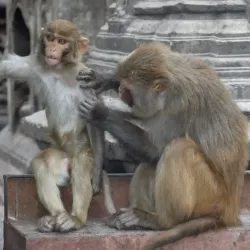 kathmandu_2010_30