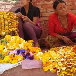 nepal_2014_8