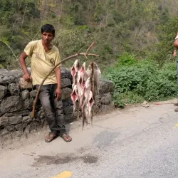 nepal_2019_24