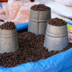 nepal_2022_194