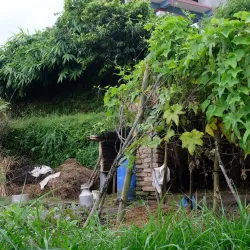 nepal_2022_76