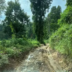 nepal_2022_79