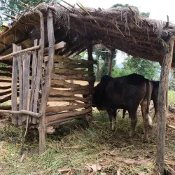 nepal_2022_91