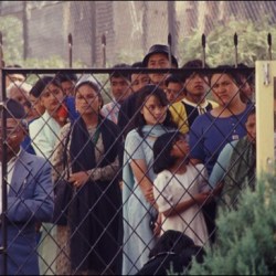 history_2001_15