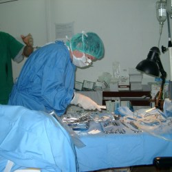 history_2004_15