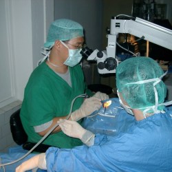 history_2004_17