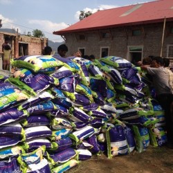 history_2015_erdbeben_26