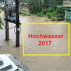 history_2017_29